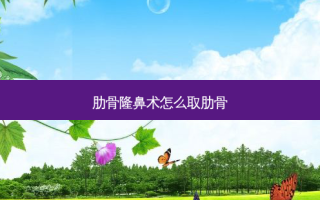 肋骨隆鼻术怎么取肋骨