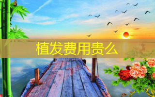 植发费用贵么