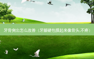 牙骨突出怎么改善（牙龈硬包摸起来像骨头,不疼）
