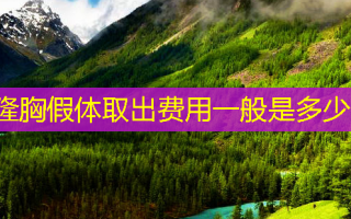 隆胸假体取出费用一般是多少