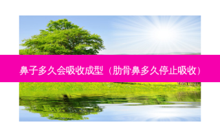 鼻子多久会吸收成型（肋骨鼻多久停止吸收）