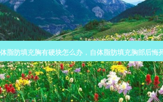 自体脂肪填充胸有硬块怎么办，自体脂肪填充胸部后悔死了