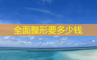 全面整形要多少钱