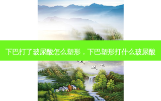 下巴打了玻尿酸怎么塑形，下巴塑形打什么玻尿酸
