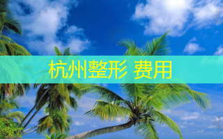 杭州整形 费用
