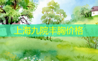 上海九院丰胸价格