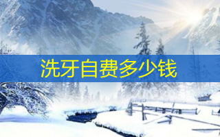 洗牙自费多少钱