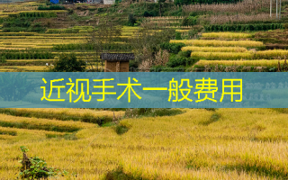 近视手术一般费用