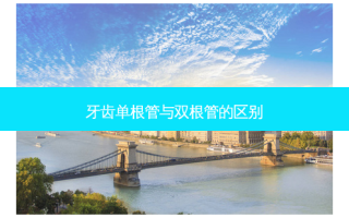 牙齿单根管与双根管的区别