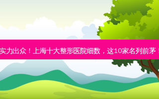 实力出众！上海十大整形医院细数，这10家名列前茅！