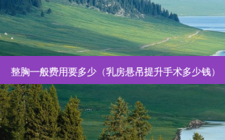 整胸一般费用要多少（ *** 悬吊提升手术多少钱）