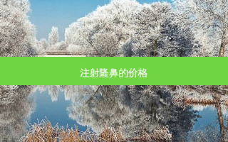 注射隆鼻的价格