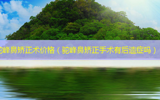 驼峰鼻矫正术价格（驼峰鼻矫正手术有后遗症吗）