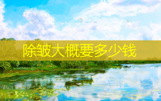 除皱大概要多少钱