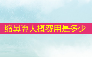 缩鼻翼大概费用是多少