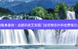观看附隆鼻案例！成都武侯艾美薇门诊部整形外科收费项目全揭露