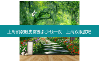 上海割双眼皮需要多少钱一次，上海双眼皮吧