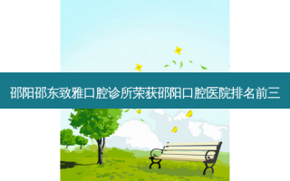 邵阳邵东致雅口腔诊所荣获邵阳口腔医院排名前三