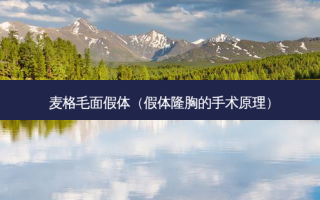 麦格毛面假体（假体隆胸的手术原理）