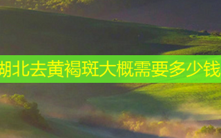 湖北去黄褐斑大概需要多少钱