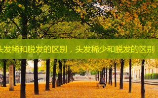 头发稀和脱发的区别，头发稀少和脱发的区别