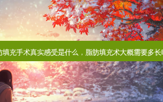 脂肪填充手术真实感受是什么，脂肪填充术大概需要多长时间
