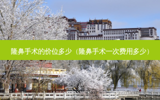 隆鼻手术的价位多少（隆鼻手术一次费用多少）