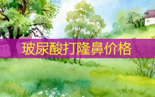 玻尿酸打隆鼻价格