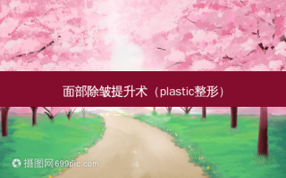 面部除皱提升术（plastic整形）
