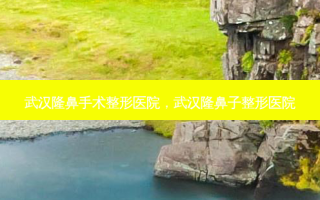 武汉隆鼻手术整形医院，武汉隆鼻子整形医院