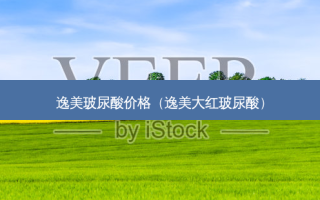 逸美玻尿酸价格（逸美大红玻尿酸）