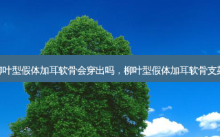 柳叶型假体加耳软骨会穿出吗，柳叶型假体加耳软骨支架
