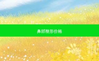 鼻部整形价格