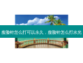 瘦脸针怎么打可以永久，瘦脸针怎么打水光
