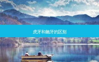 虎牙和龅牙的区别