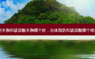 自体脂肪丰胸和玻尿酸丰胸哪个好，自体脂肪和玻尿酸哪个维持时间长