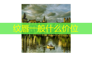 纹唇一般什么价位