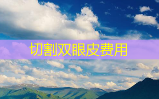 切割双眼皮费用