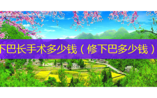 下巴长手术多少钱（修下巴多少钱）