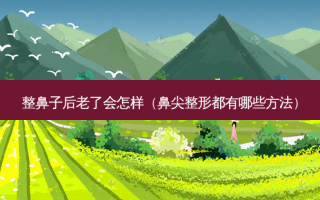 整鼻子后老了会怎样（鼻尖整形都有哪些 *** ）