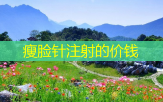 瘦脸针注射的价钱