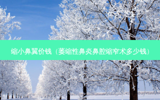 缩小鼻翼价钱（萎缩性鼻炎鼻腔缩窄术多少钱）