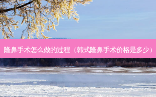 隆鼻手术怎么做的过程（韩式隆鼻手术价格是多少）