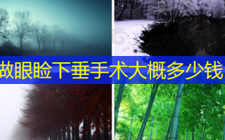 做眼睑下垂手术大概多少钱