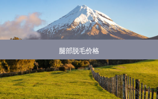 腿部脱毛价格