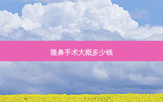 隆鼻手术大概多少钱