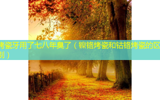烤瓷牙用了七八年臭了（镍铬烤瓷和钴铬烤瓷的区别）