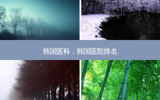 韩国医科，韩国医院排名