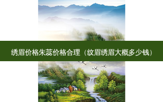 绣眉价格朱蕊价格合理（纹眉绣眉大概多少钱）