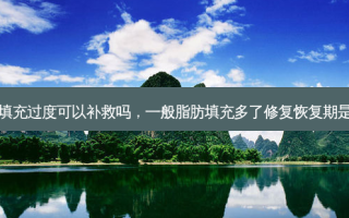 脂肪填充过度可以补救吗，一般脂肪填充多了修复恢复期是多久